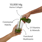 Matcha with Collagen + Blueberry Add-on